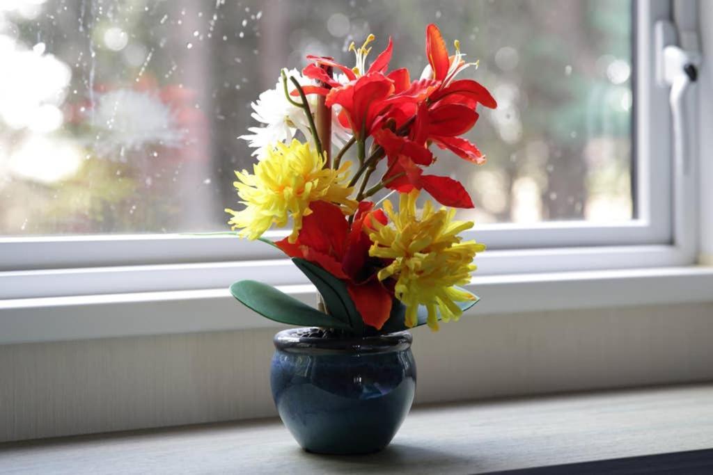Edinburgh - Seton Sands-Cameo Caravan-Pet Friendly Luaran gambar